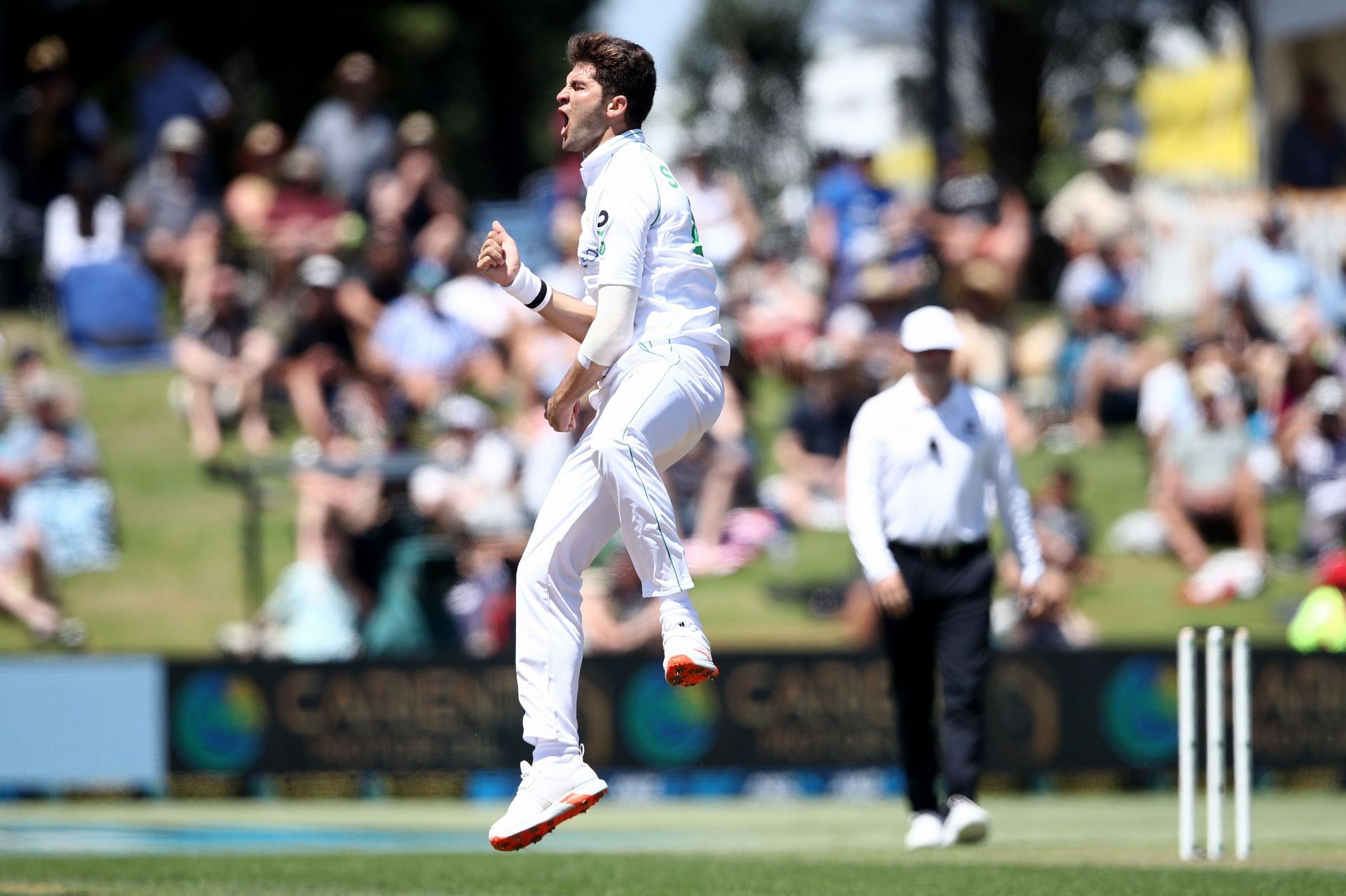Pakistan vs Australia: Shaheen Shah Afridi will lead Pakistan's bowling attack